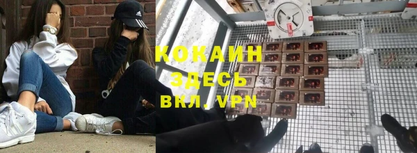PSILOCYBIN Абдулино