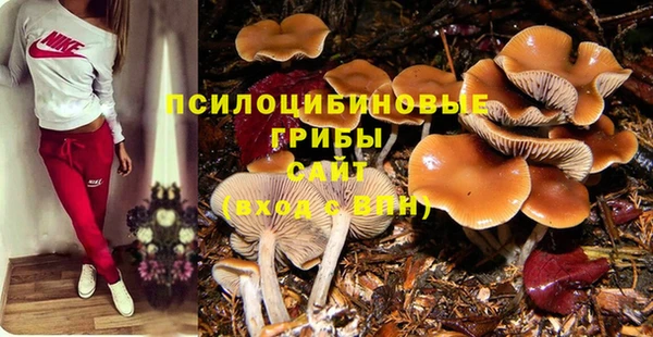 гашишное масло Абаза