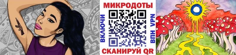 Псилоцибиновые грибы мицелий  купить закладку  Александров 